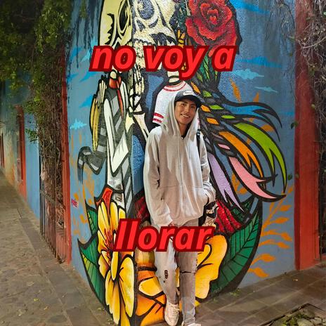 No Voy a Llorar cover art