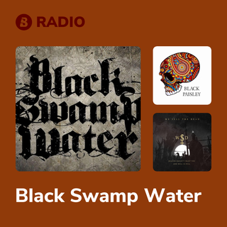 Black Swamp Water Radio