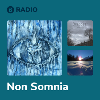 Non Somnia Radio