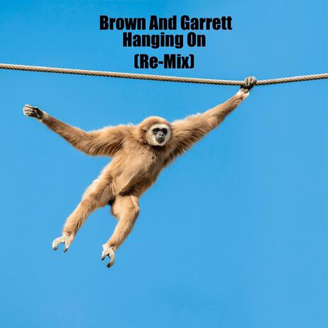 Hanging On (Re-Mix) cover art
