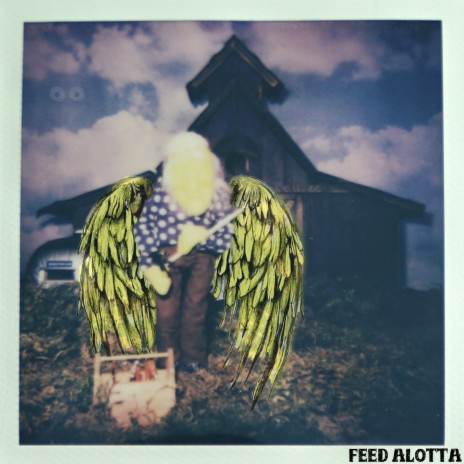 Feed Alotta