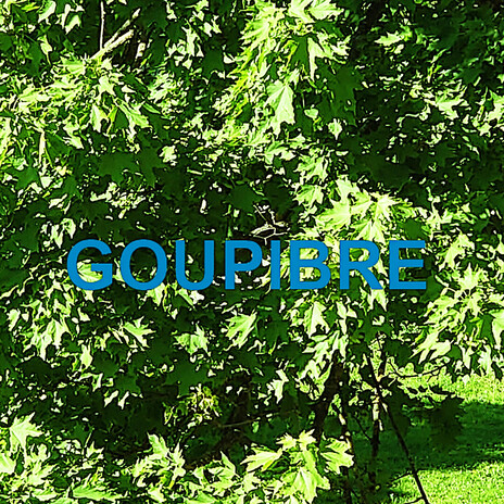 Goupibre cover art