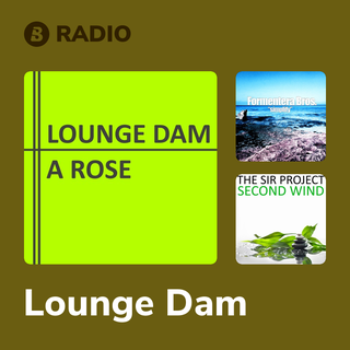 Lounge Dam Radio