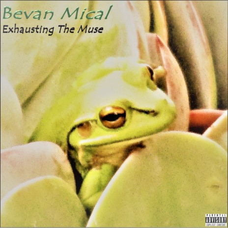 The Song cover art