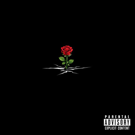 NO HOOK cover art