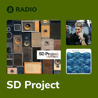 SD Project Radio