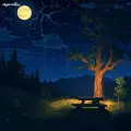 Gazing At The Stars