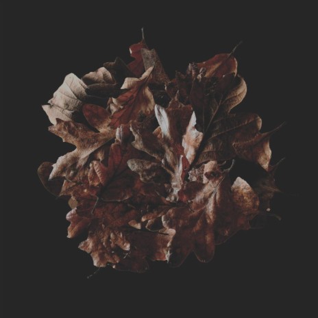 She Haunts Me cover art