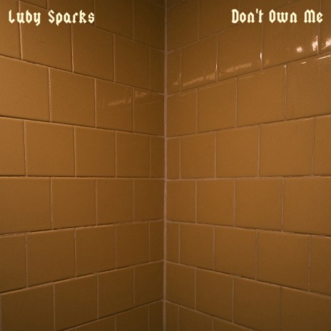 Don't Own Me cover art