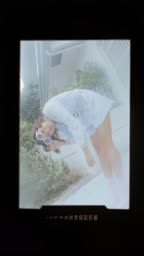 All The Way cover art