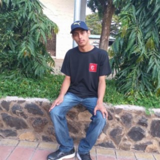 Chrys Herz