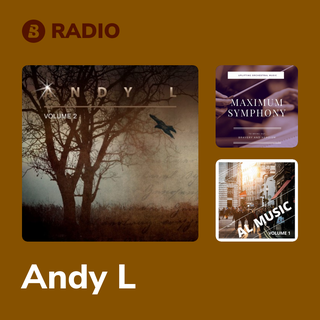 Andy L Radio