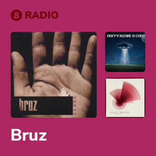 Bruz Radio