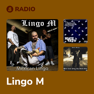 Lingo M Radio