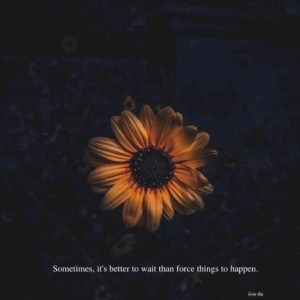 123Movies cover