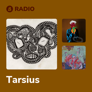 Tarsius Radio