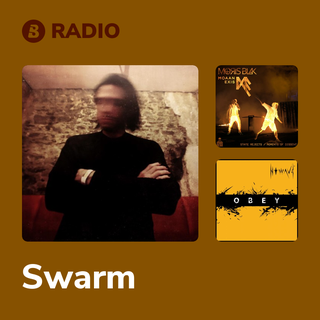 Swarm Radio