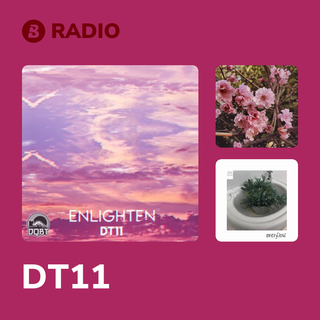 DT11 Radio