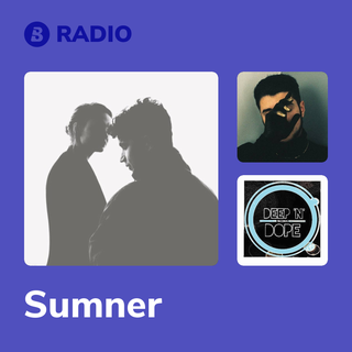 Sumner Radio