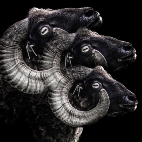 Blood Moon (Veneficium) cover art