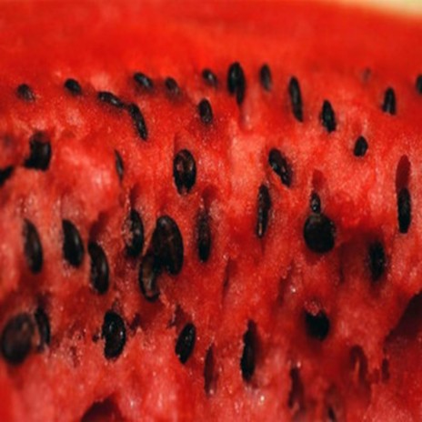 Watermelon Seeds cover art