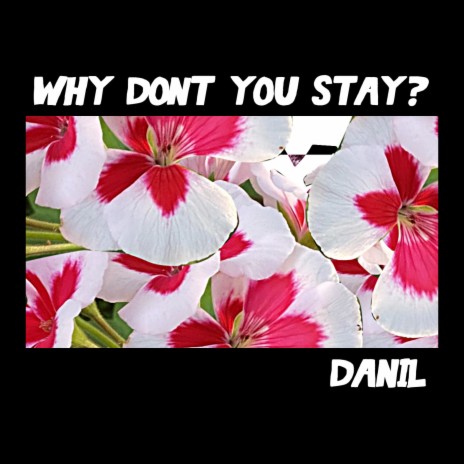 Why Don't You Stay? cover art