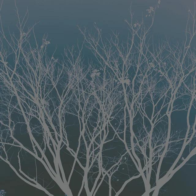 214 cover art