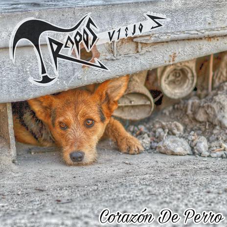 Corazón de perro cover art