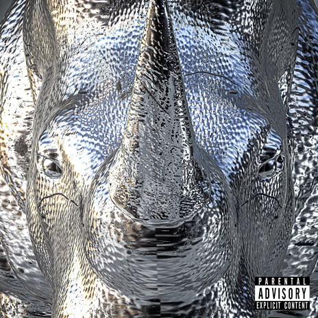 Amg ft. Duarte G & faker cover art