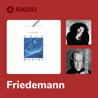 Friedemann Radio