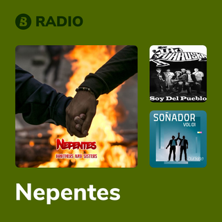 Nepentes Radio