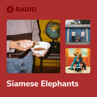 Siamese Elephants Radio