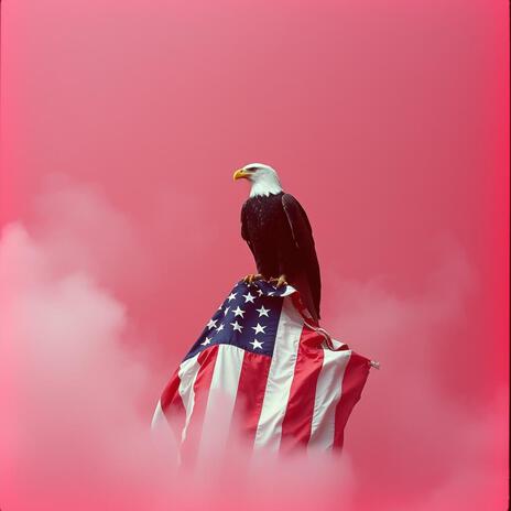 God Bless This Mess (US Parody Anthem) cover art