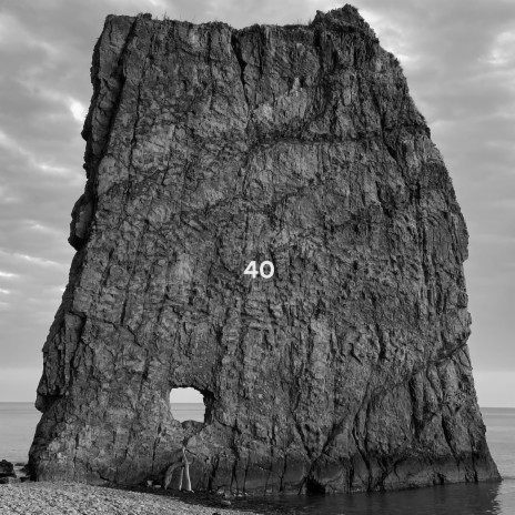 41