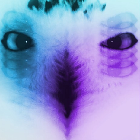Yukon (Original Mix) cover art