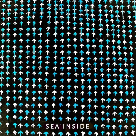 Shiny cover art