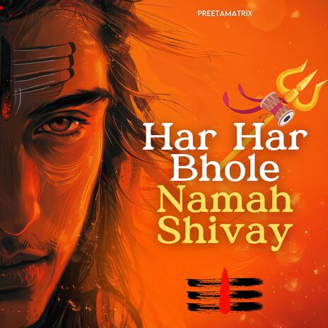 Har Har Bhole Namah Shivay cover art
