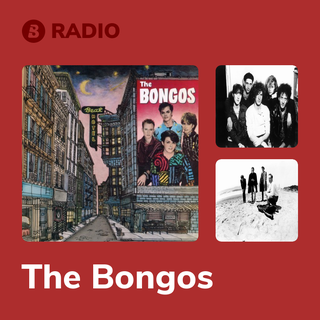 The Bongos Radio