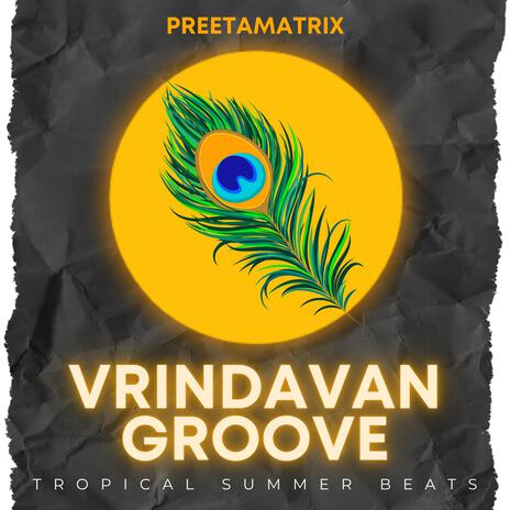Vrindavan Groove : Tropical Summer Beats cover art