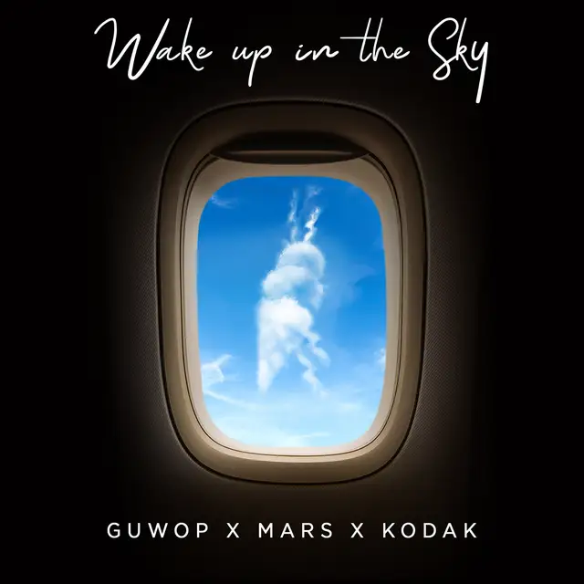 Wake Up in the Sky cover art