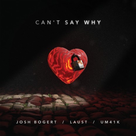 Can't Say Why ft. Laust & Um41k