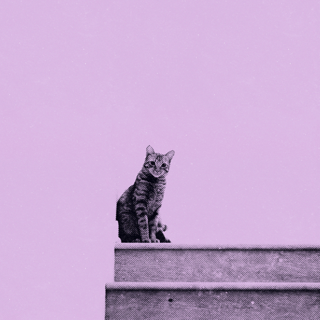 On The Rocks cover art