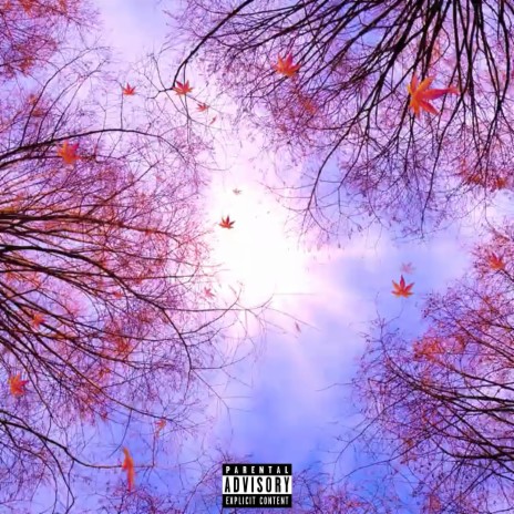 Dando Vueltas cover art