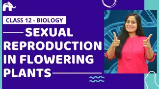 Class 12 Biology One Shot Videos by Roshni Ma'am | CBSE NEET | Best videos with animation | New NCERT book#SabkoSamajhAayega (2026) poster