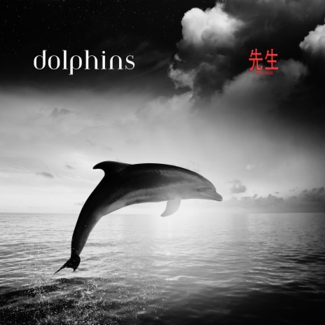 DOLPHINS