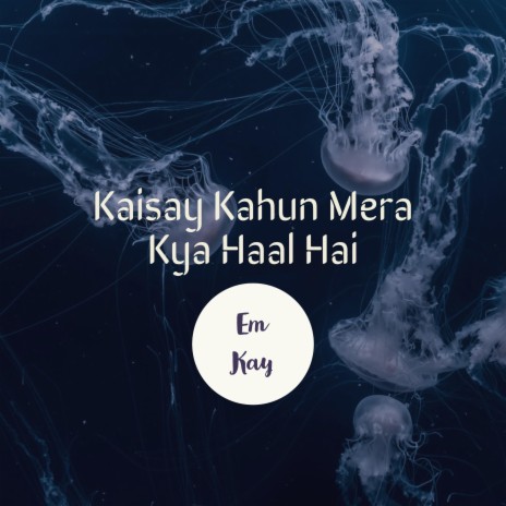 Kaisay Kahun Mera Kya Haal Hai cover art