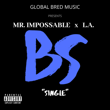 BS ft. Lex Ali cover art