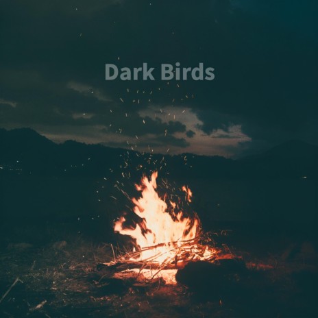 Dark Birds