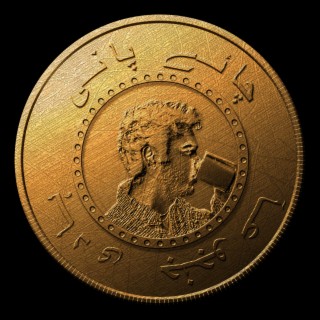 Haadee Janjua