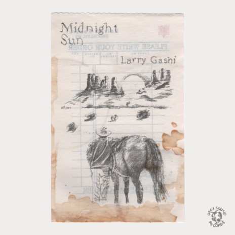 Midnight Sun cover art